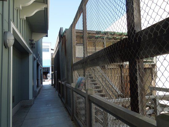 Doc Rickett's Pacific Biological Laboratories